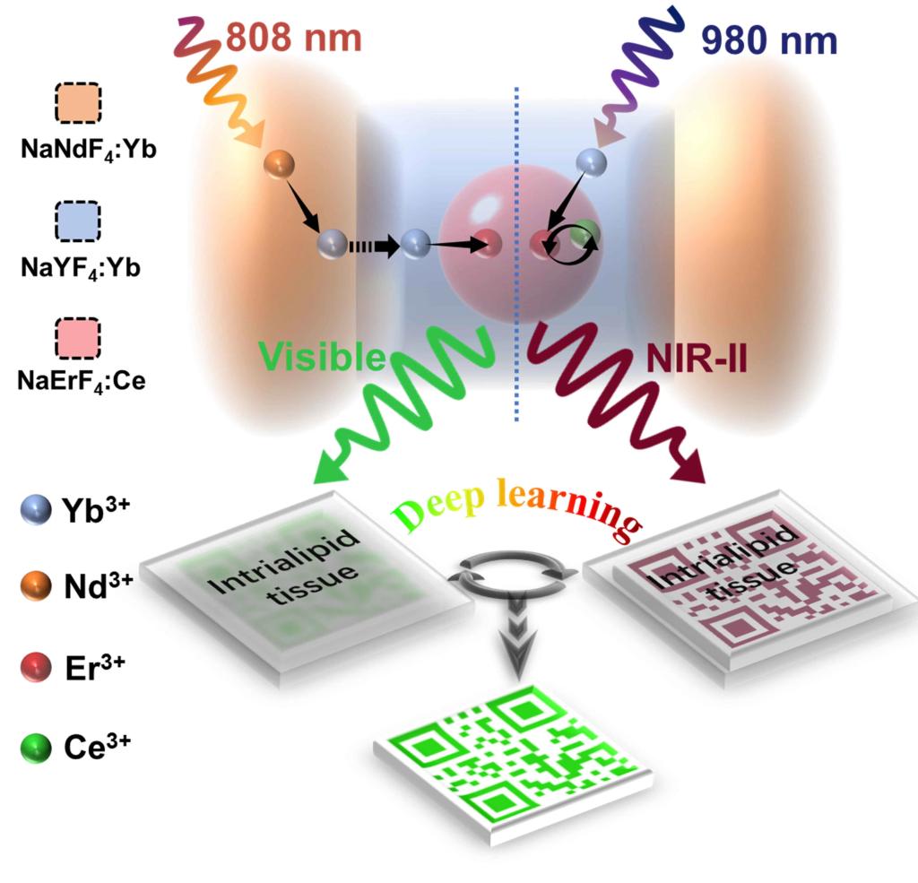 2A494F36B1AF00BAA1A355A2F2F_C180CF7D_15529.jpg?e=