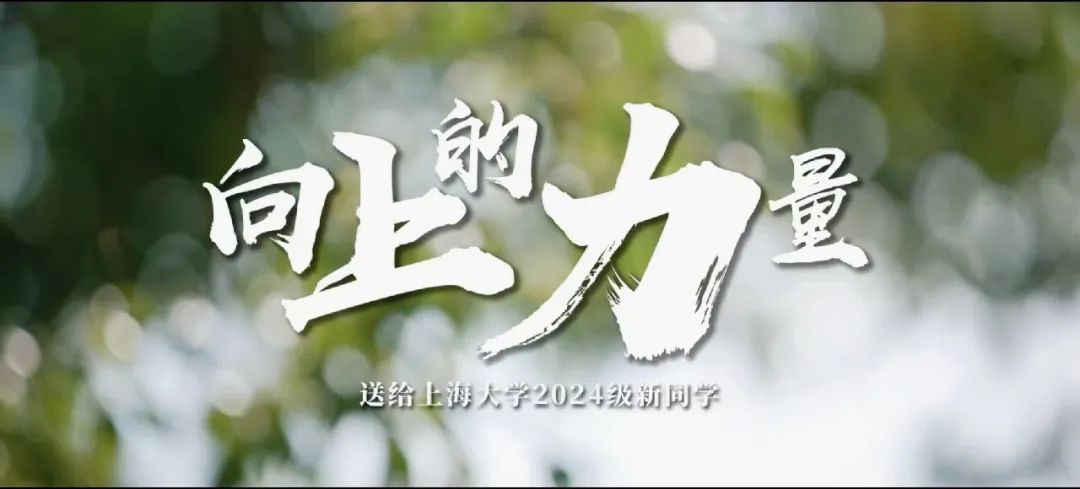 90A3FDEE4D7C33395E0B37A1685_94858514_CA31