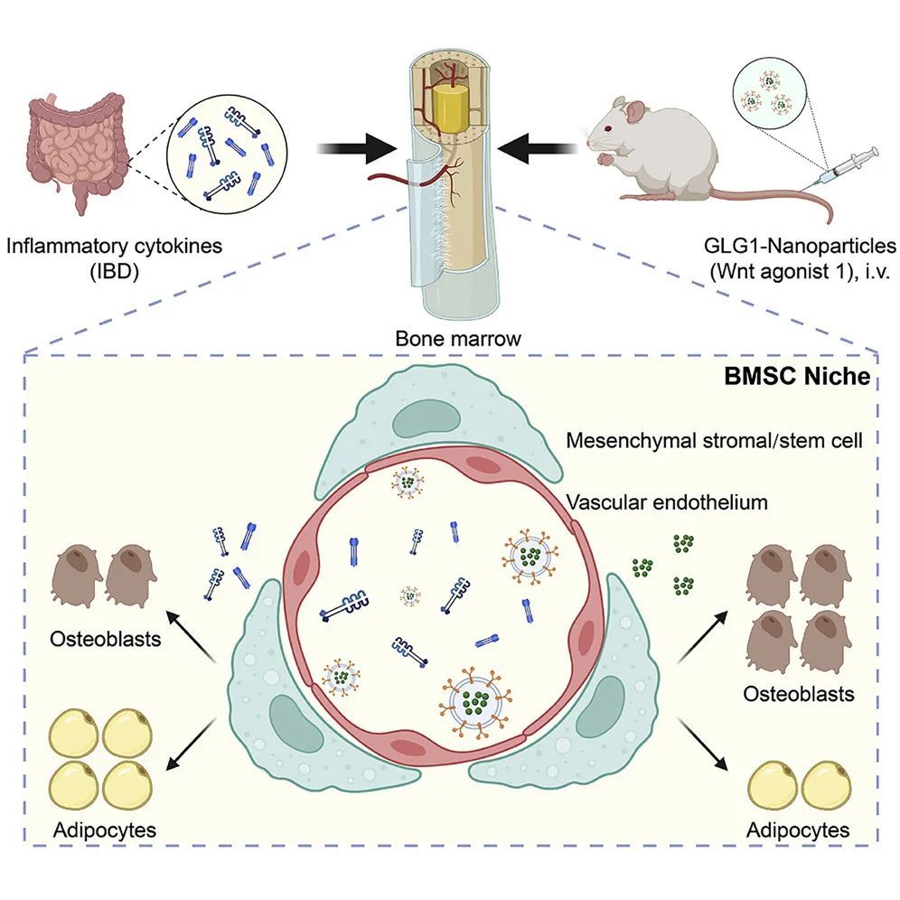 DE49D1564297DE1918E62FF9D5B_3C69A6DA_1CA44